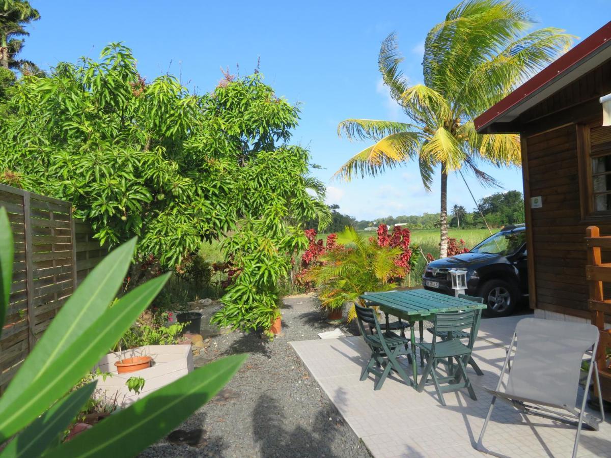 Bungalow Des Paletuviers Morne-a-l'Eau Zewnętrze zdjęcie